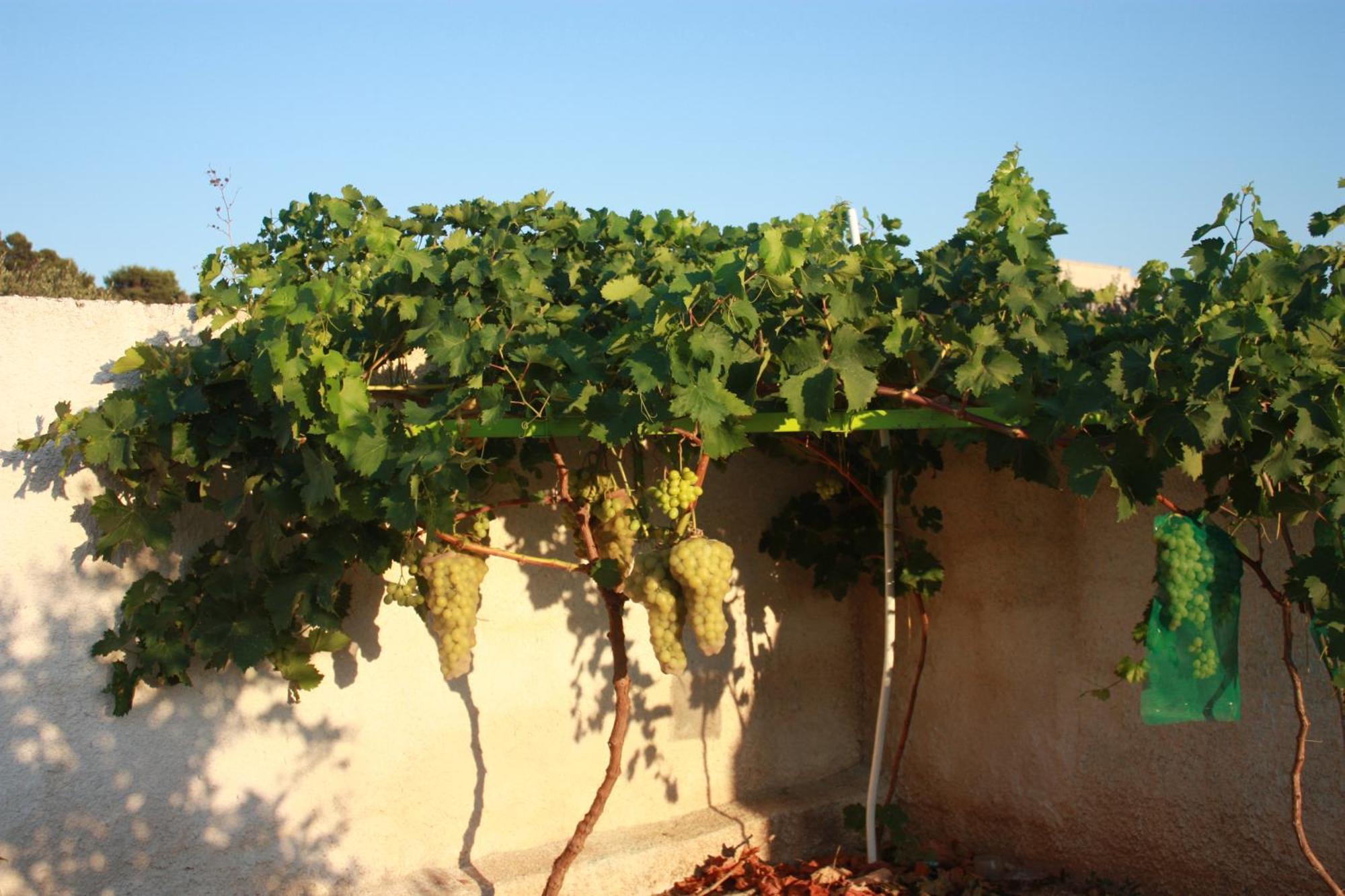 Casa Solare Rakalia Villa Spano Bagian luar foto
